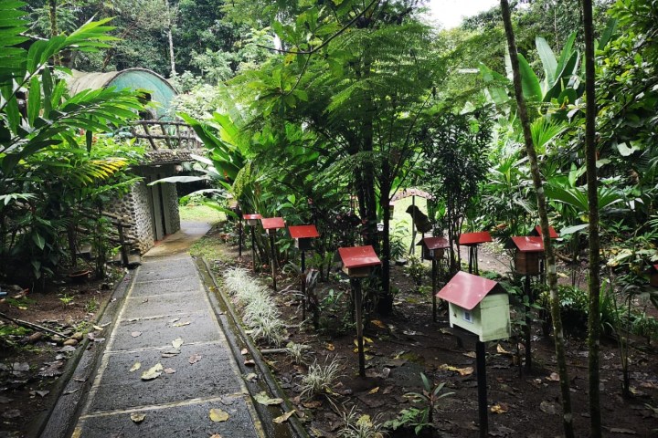 a row of park benches sitting next to a tree