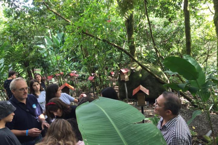 a group of people sitting in a tree