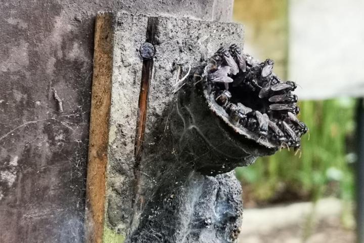 an old stone building