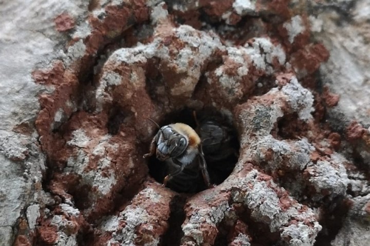 a close up of a cake