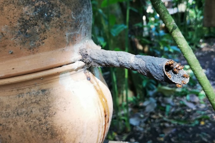 a close up of a bird feeder