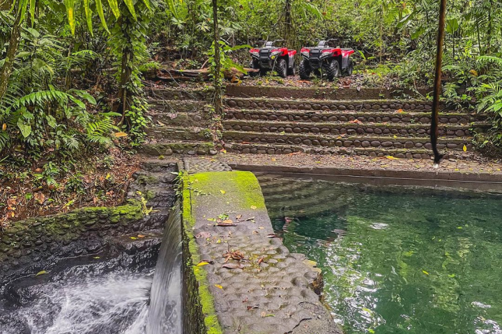 a river running through a forest