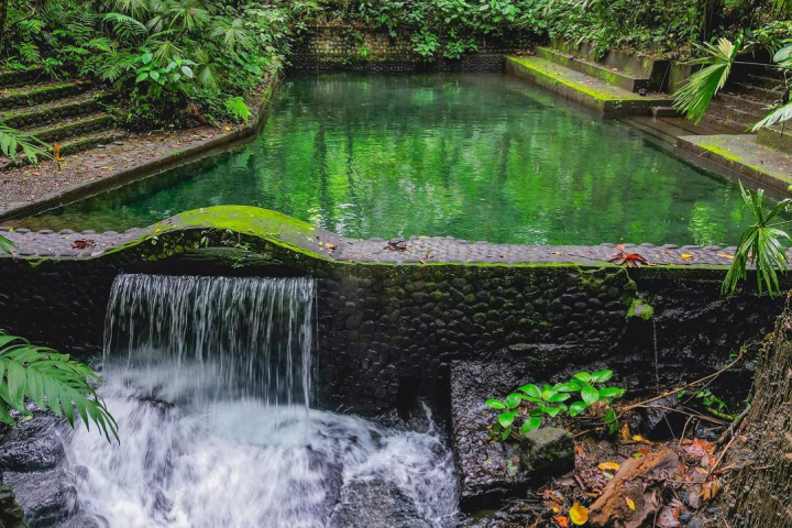 a waterfall surrounded by trees