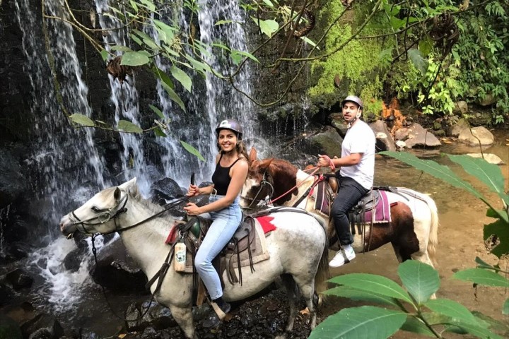 a person riding a horse in a forest