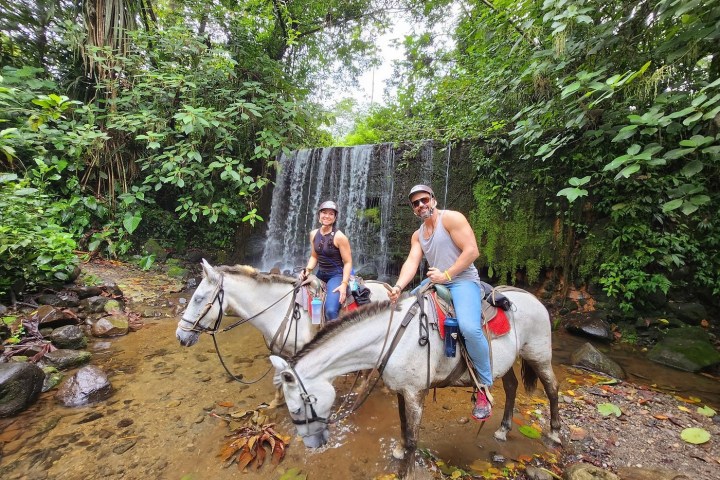 a man riding a horse in a forest