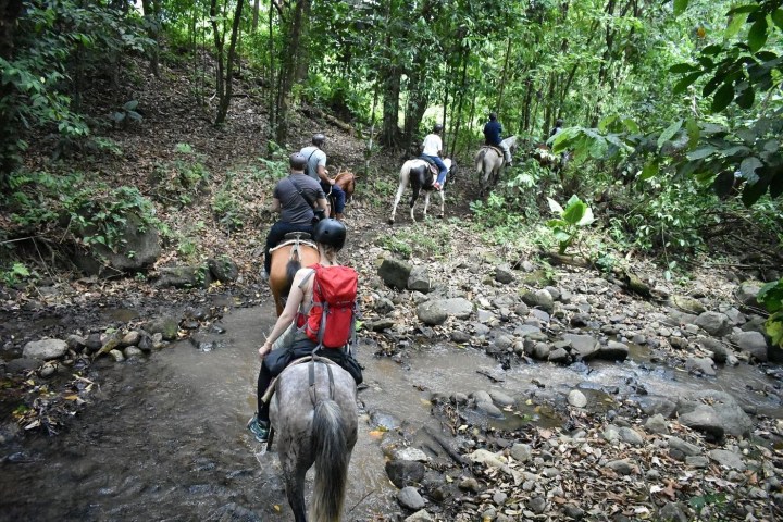 a man riding a bike down a dirt trail