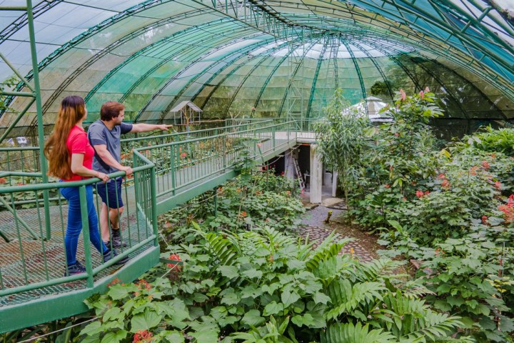 a person standing on a bridge