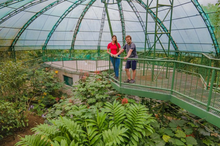 a large green landscape with a bridge in the background